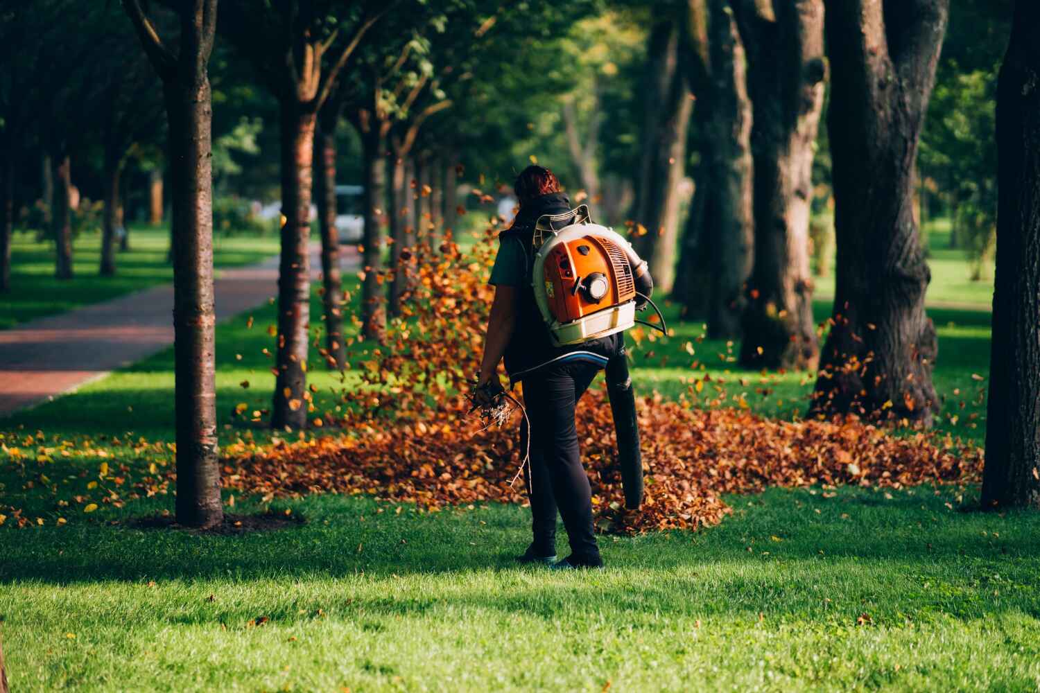 Best Tree Pruning Services  in USA